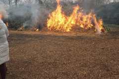 c03dc5c6-f3d3-4d19-9746-016ea0aac0cc